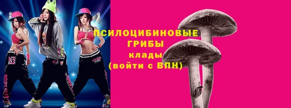 мдпв Киренск