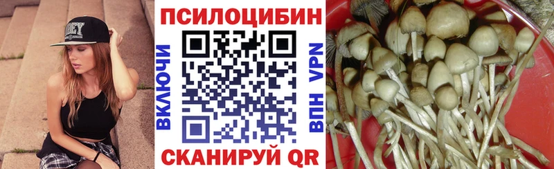 Купить  Ейск  Галлюциногенные грибы Magic Shrooms 